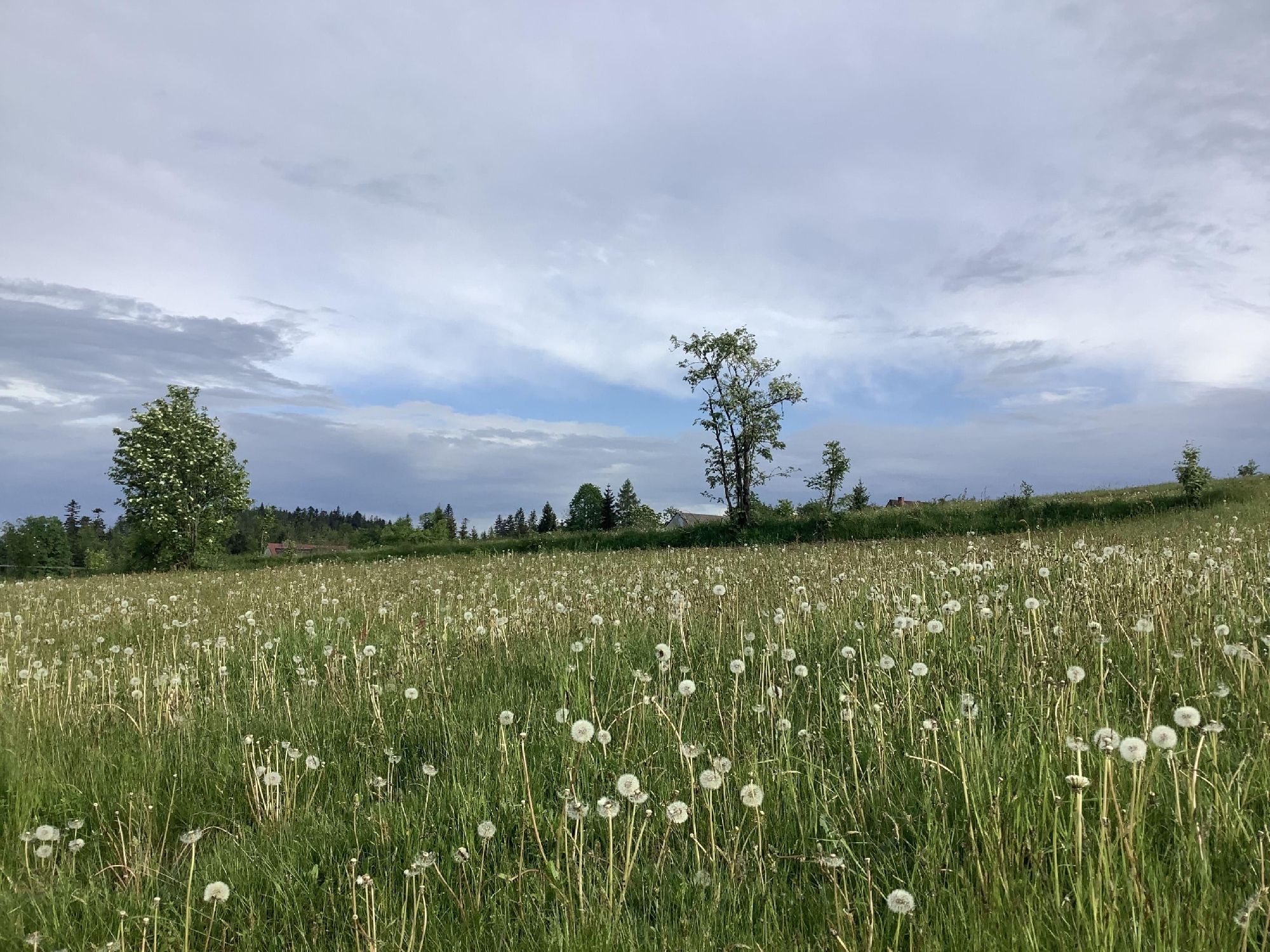 バイデン大統領をはじめ各国の首脳の皆様へ