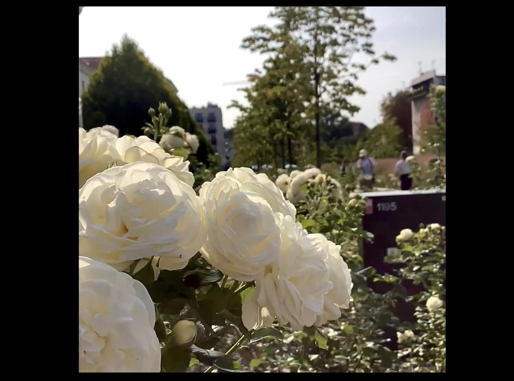 バックが盗まれ、明確になったミッション01