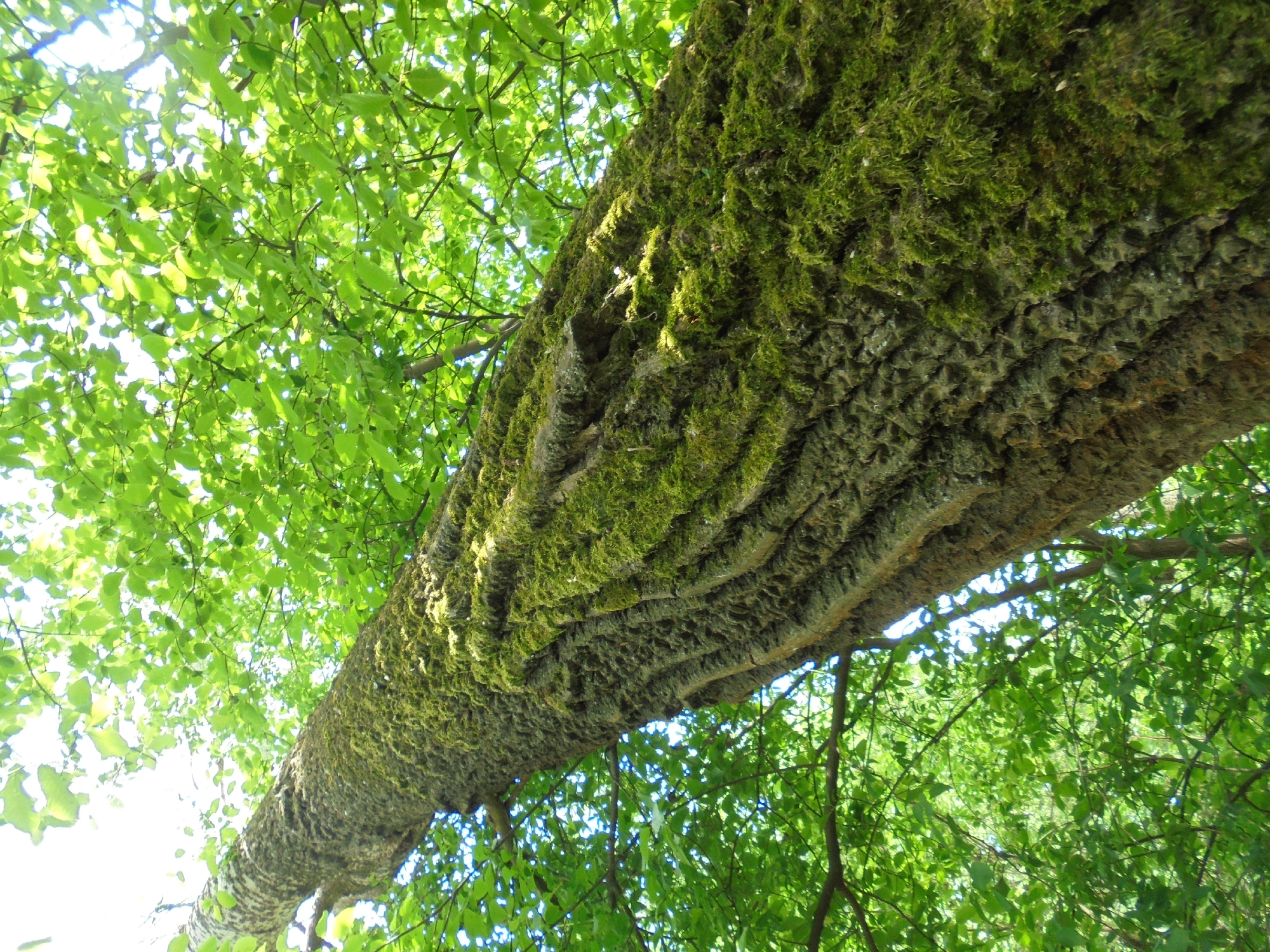 直接申し込みの日程追加と場所
