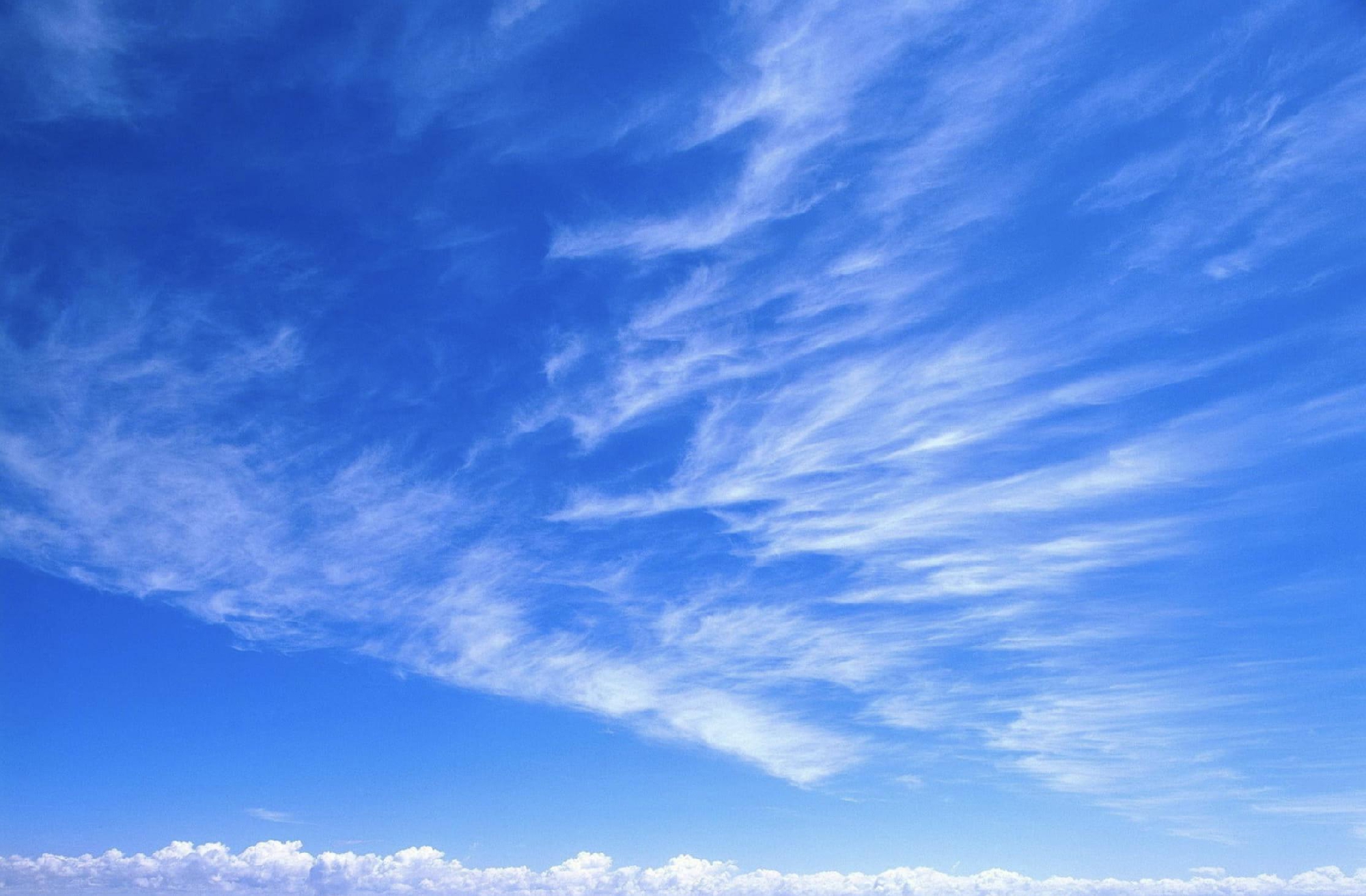 ユニバーサルショット宣言に向けて1