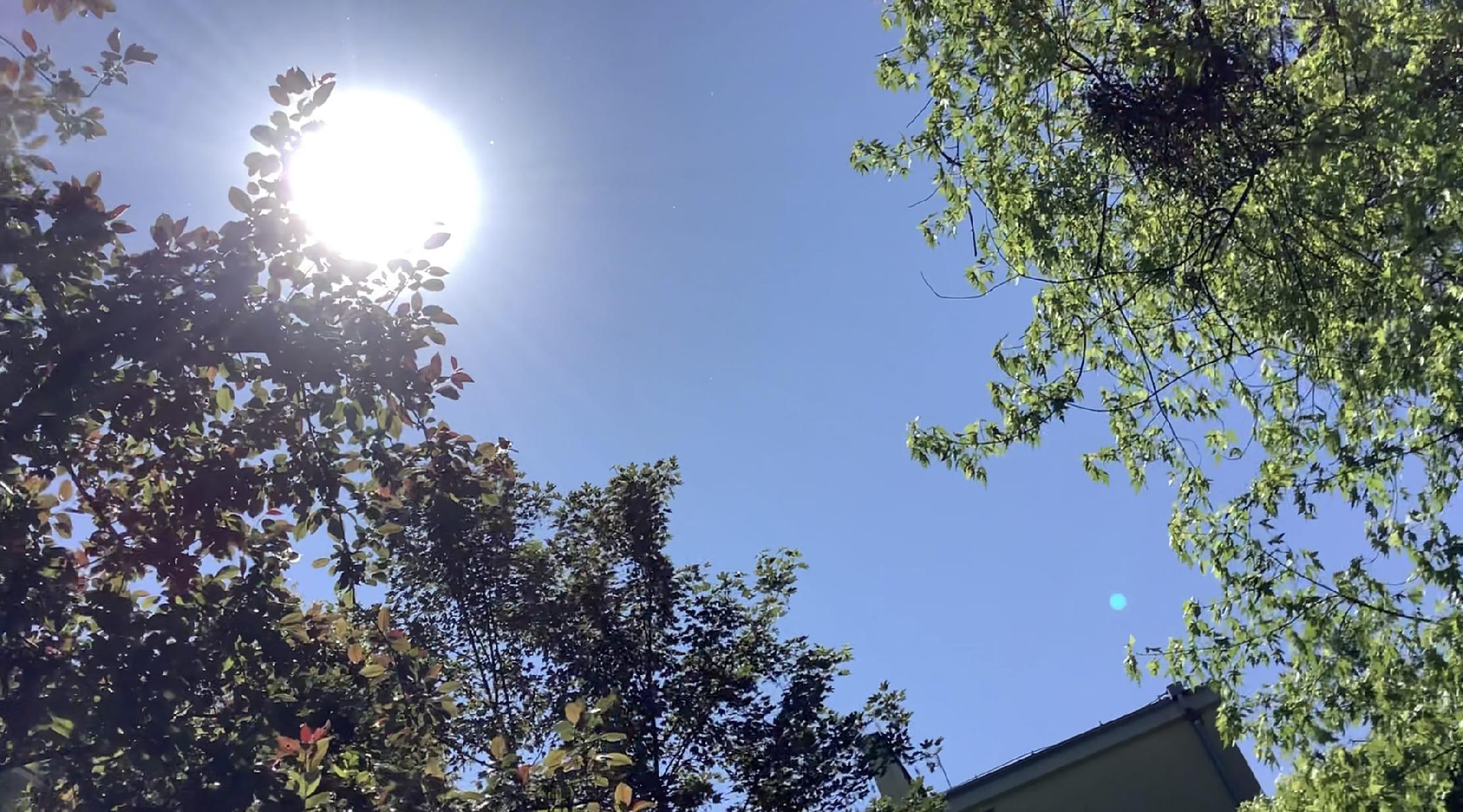 プロジェクトの申し込み完了と契約確定について