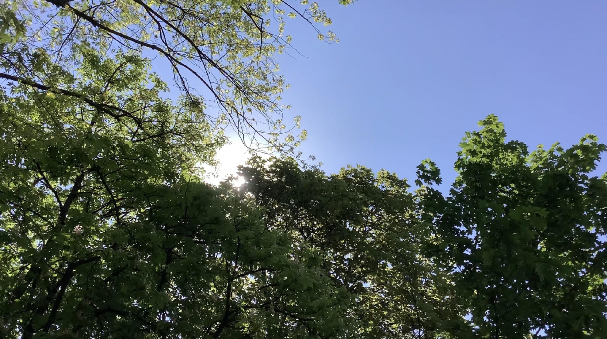 宣言文・動画（後半）