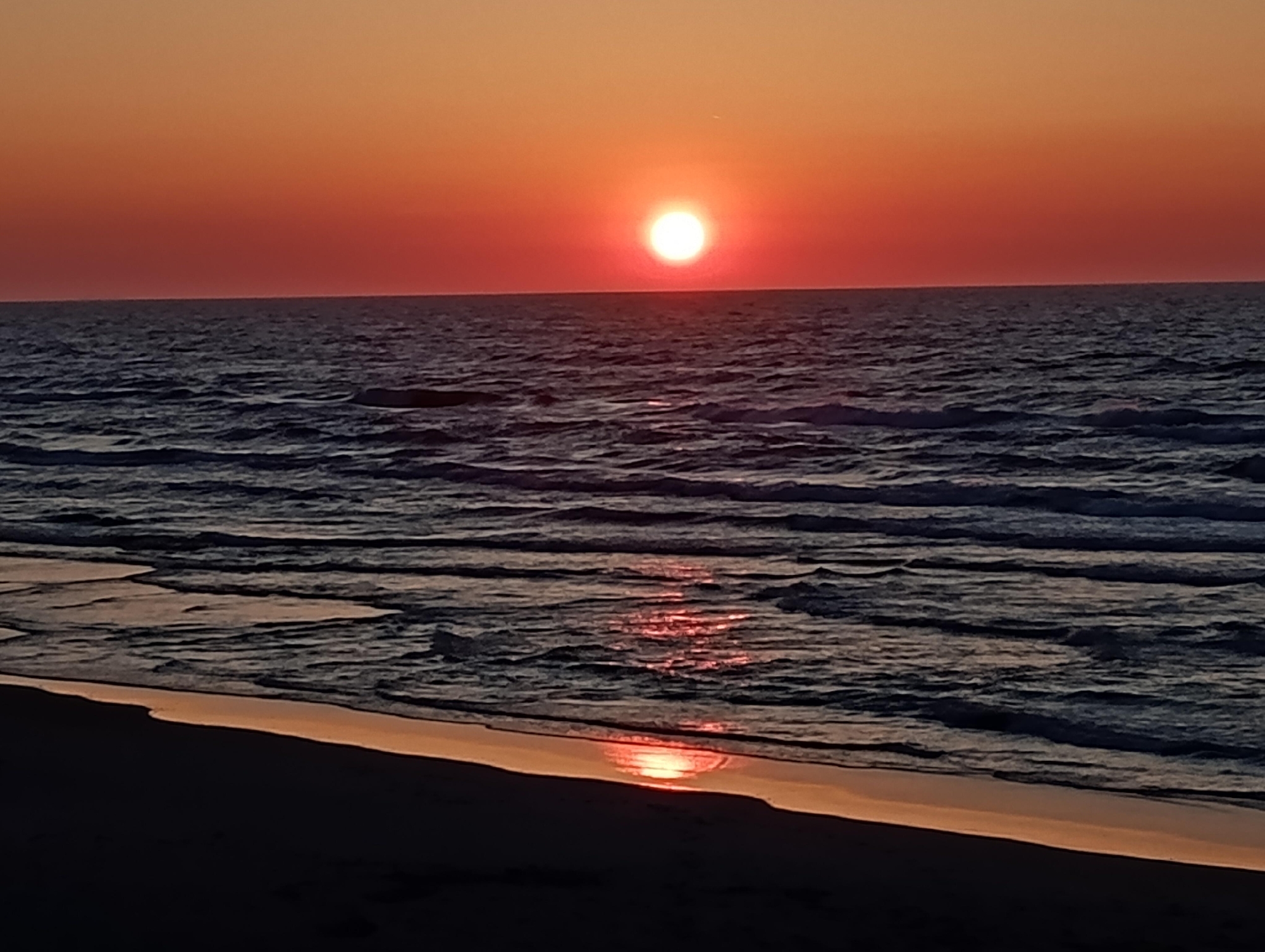 2025年6月29日の直接申し込み会場のお知らせ