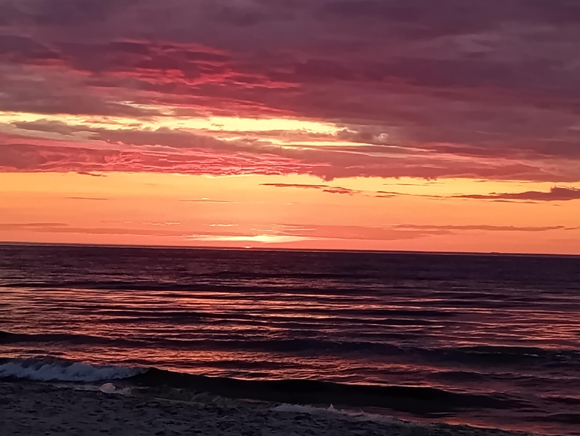 ポーランドのデブキの皆様へ