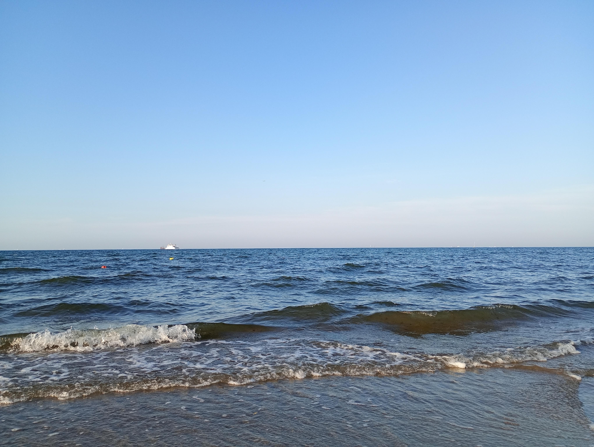 バルティックの素敵な人々と 寄付への感謝