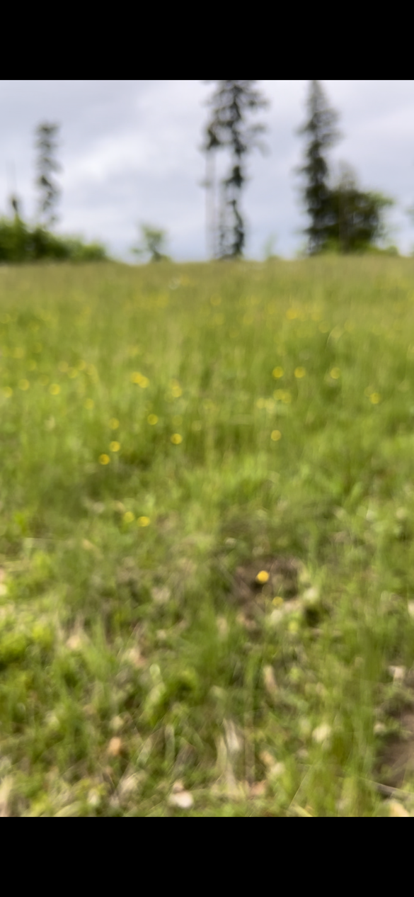 ユニバーサルショット宣言に向けて3