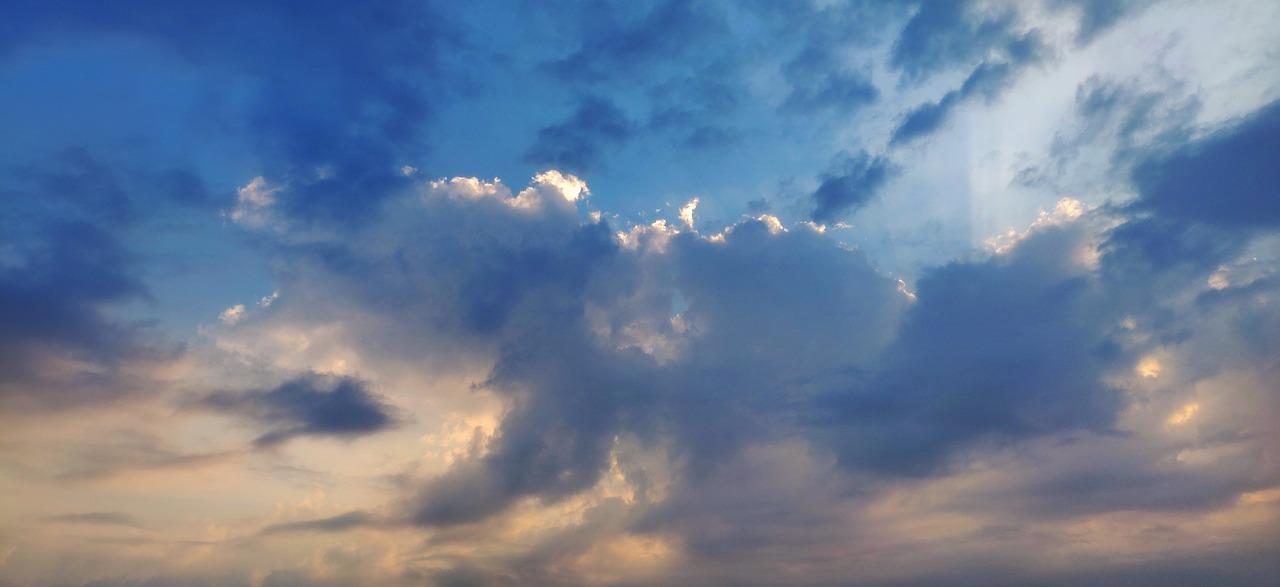 2月22日 直接申し込み・寄付活動について